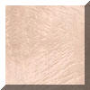 Birdseye Maple